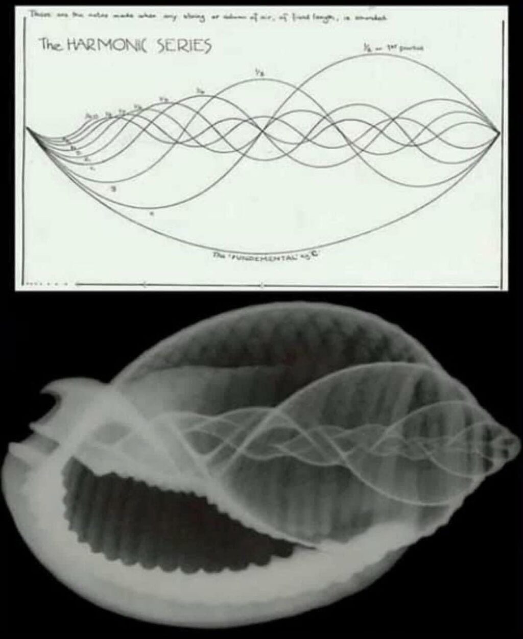 Instagram post from radicalartsacademy. This post is in position 3.